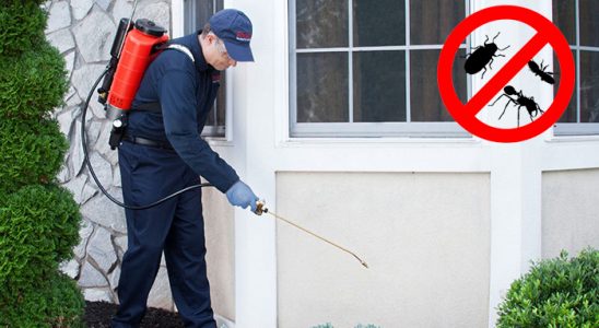Cumayeri Karınca İlaçlama böcek ilaçlama ve haşere kontrolü — ilaclama-tr.com